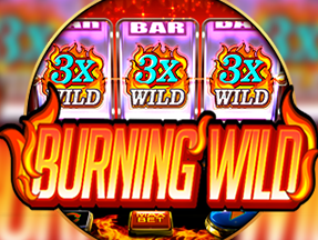 Burning Wild icon